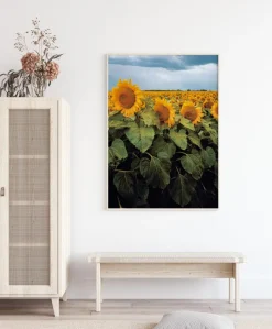 Sunflowers Plakat (21x29.7 cm (A4))