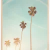 Sunny Cali Palm Tree Plakat (21x29.7 cm (A4))