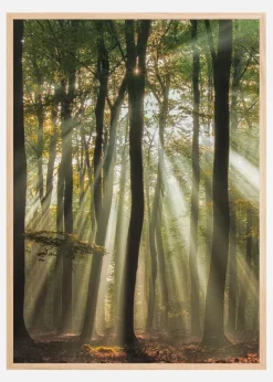 Sunny Start To The Day Plakat (21x29.7 cm (A4))