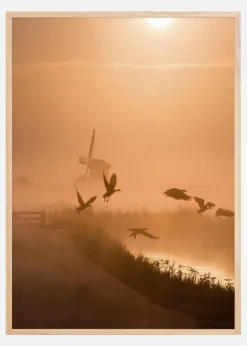 Sunrise Flight Plakat (21x29.7 cm (A4))