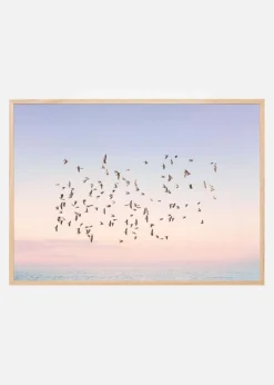 Sunset Flight Plakat (21x29.7 cm (A4))