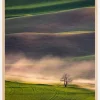 Sunset in Palouse Plakat (21x29.7 cm (A4))