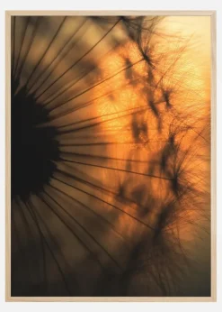 Sunset Plakat (21x29.7 cm (A4))