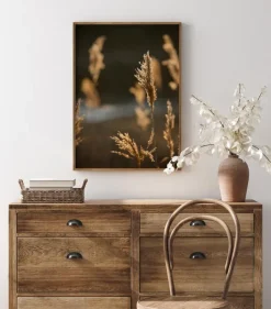 Sunshine On The Fields Plakat (21x29.7 cm (A4))