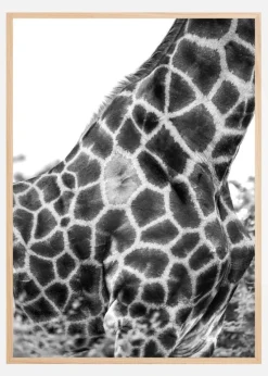 Super Safari No3 Plakat (21x29.7 cm (A4))