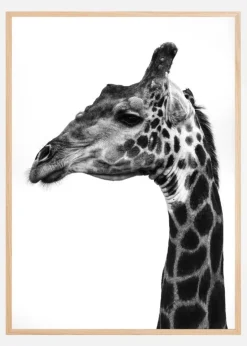 Super Safari No1 Plakat (21x29.7 cm (A4))