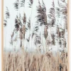 Swaying Reed II Plakat (21x29.7 cm (A4))