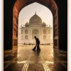 Taj mahal cleaner Plakat (21x29.7 cm (A4))