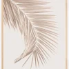 Tan Leaf Plakat (21x29.7 cm (A4))