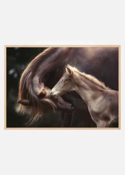 The Bond Plakat (21x29.7 cm (A4))