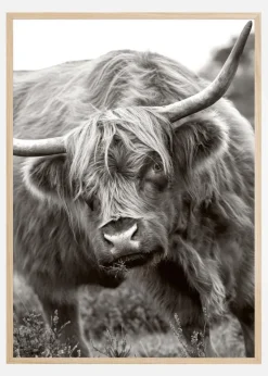 The Bull Plakat (21x29.7 cm (A4))