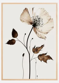 The Coffee Flower Plakat (21x29.7 cm (A4))