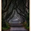 The Dark Hedges Magic road Plakat (21x29.7 cm (A4))