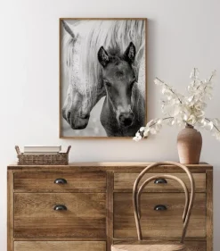 The Foal Plakat (21x29.7 cm (A4))