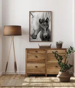 The Foal Plakat (21x29.7 cm (A4))