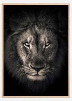 The king Plakat (21x29.7 cm (A4))