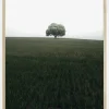 The lonely oak tree Plakat (21x29.7 cm (A4))