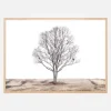 The lonely tree Plakat (21x29.7 cm (A4))