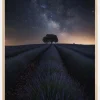 The Lonely Tree Plakat (21x29.7 cm (A4))