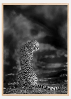 The look back Plakat (21x29.7 cm (A4))