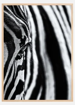 The look of nature Plakat (21x29.7 cm (A4))