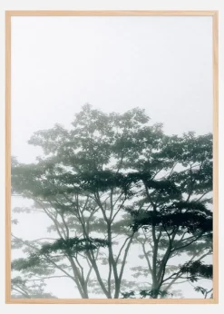 TimorLeste Plakat (21x29.7 cm (A4))