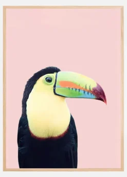 Toucan on Pink Plakat (21x29.7 cm (A4))