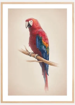 Tropical Parrot Plakat (21x29.7 cm (A4))