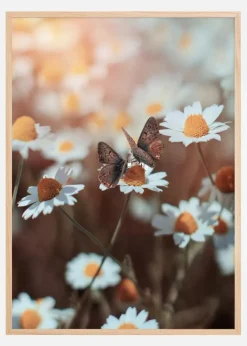 Two Butterflies Plakat (21x29.7 cm (A4))