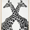 Two giraffe towers Plakat (21x29.7 cm (A4))