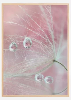 Two of us Plakat (21x29.7 cm (A4))