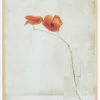 Two Poppies In A Bottle Plakat (21x29.7 cm (A4))