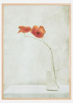 Two Poppies In A Bottle Plakat (21x29.7 cm (A4))