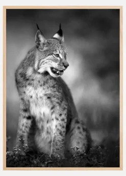 Unique Plakat (21x29.7 cm (A4))