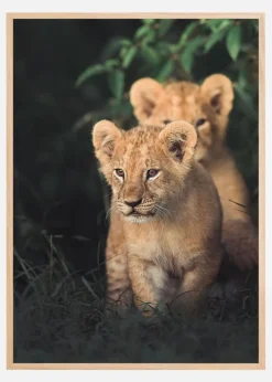 Untitled Plakat (21x29.7 cm (A4))