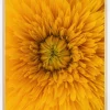 Upclose Flower Plakat (21x29.7 cm (A4))