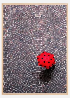 Urban Ladybug Plakat (21x29.7 cm (A4))