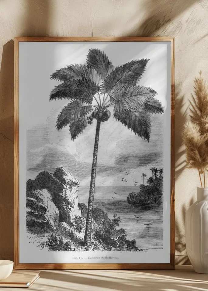 Vintage Palm Tree Drawing I Plakat (21x29.7 cm (A4))