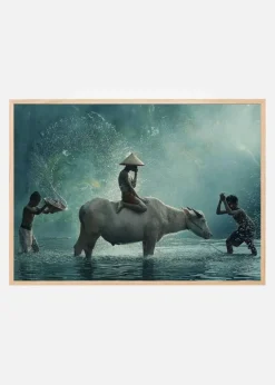 Water Buffalo Plakat (21x29.7 cm (A4))