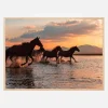 WATER HORSES Plakat (21x29.7 cm (A4))
