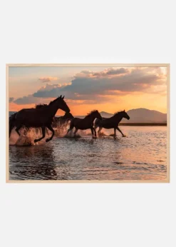 WATER HORSES Plakat (21x29.7 cm (A4))