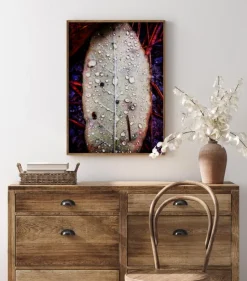 Water On Leaf Plakat (21x29.7 cm (A4))