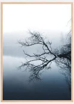 Water Reflection Plakat (21x29.7 cm (A4))