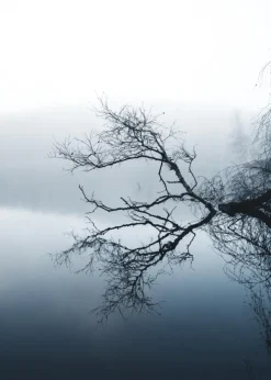 Water Reflection Plakat (21x29.7 cm (A4))