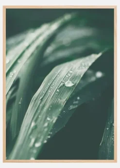 Waterdrop Plakat (21x29.7 cm (A4))