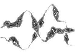 WAVES Plakat (21x29.7 cm (A4))