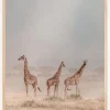 Weathering The Amboseli Dust Devils Plakat (21x29.7 cm (A4))