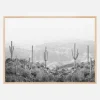 Western Cactus Plakat (21x29.7 cm (A4))