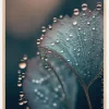 Wet Leafs Plakat (21x29.7 cm (A4))