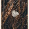 White Butterfly Plakat (21x29.7 cm (A4))